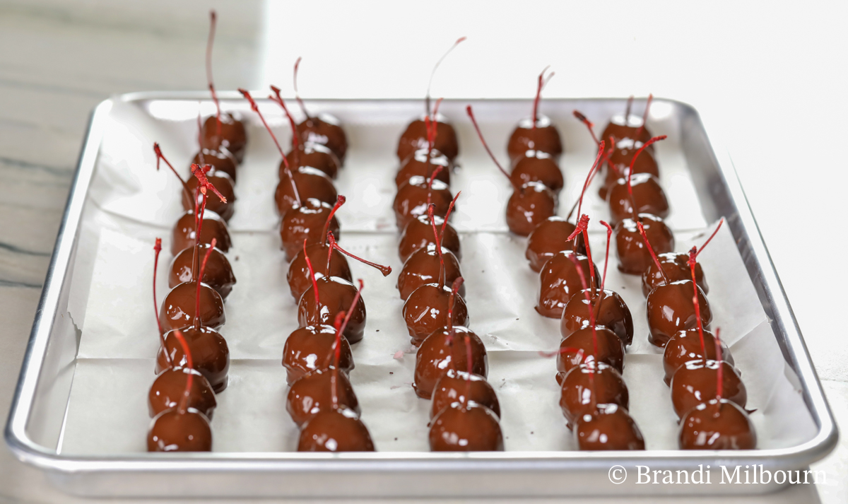 Sheet pan of homemade chocolate covered cherries which are better than Queen Anne Chocolate covered cherries.